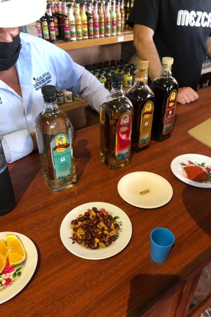 mezcal tasting tour