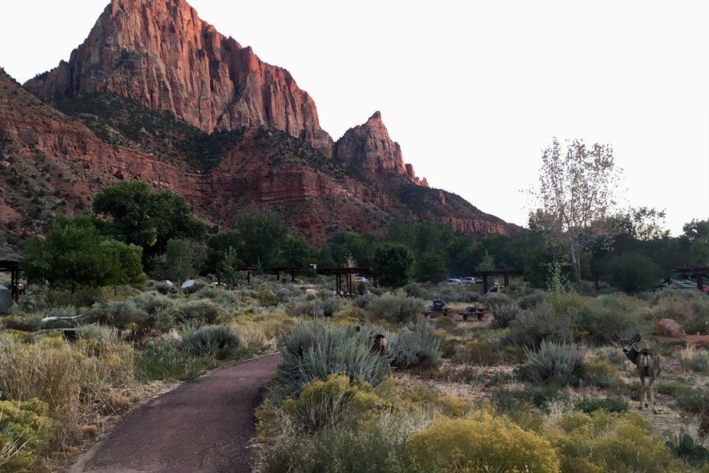 zion national park camping