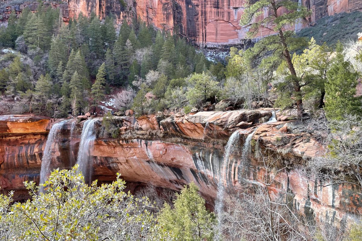 zion national park emerald pools