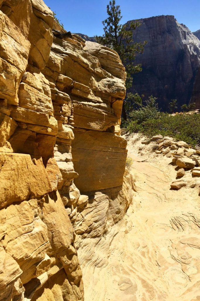 zion national park fall trails