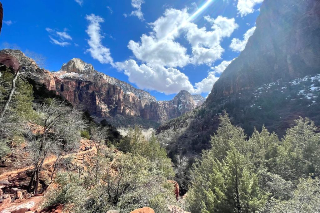 zion national park from grotto trail