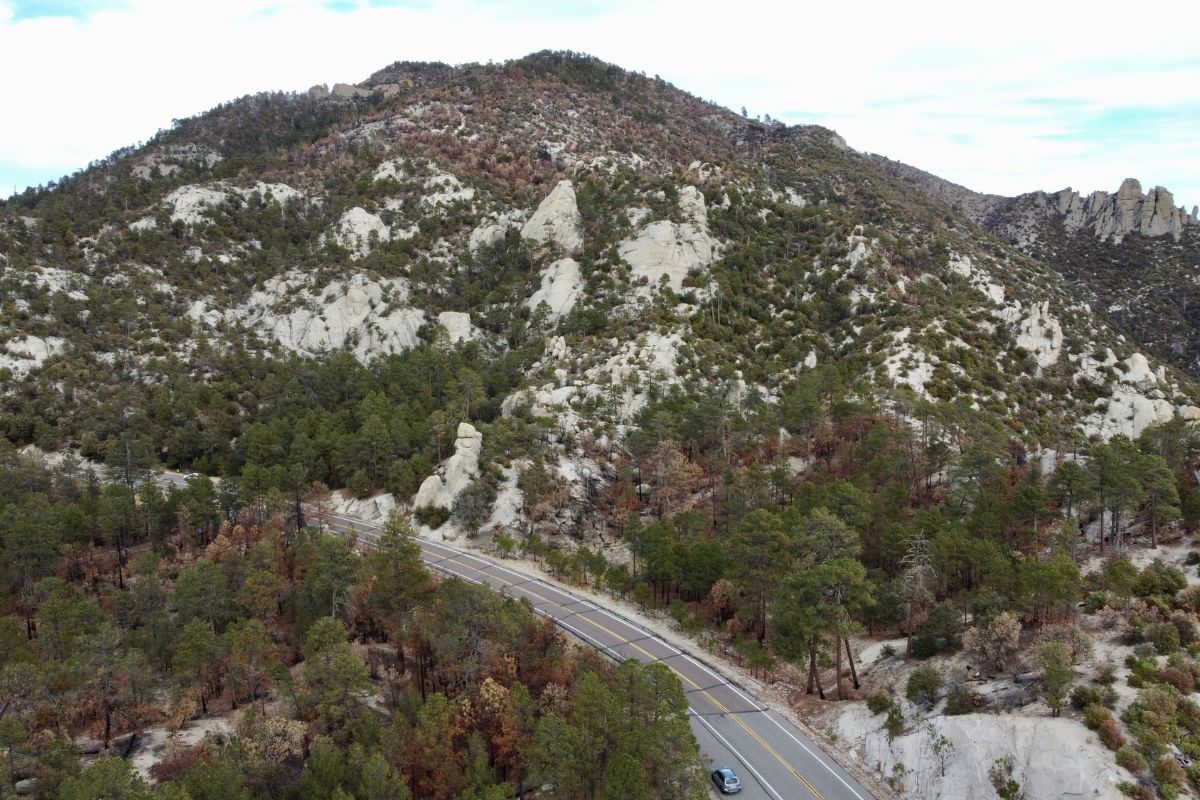 Mount Lemmon