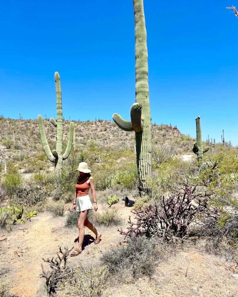 saguaro national park