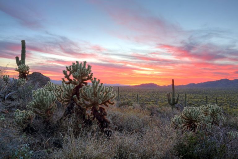 One Day In Tucson: 30 Things To Do In Tucson For Solo Travelers