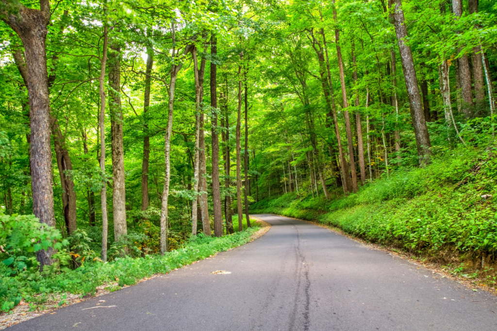 Roaring Fork Motor Nature Trail, Great Smoky Mountains