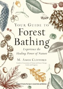 Your Guide to Forest Bathing